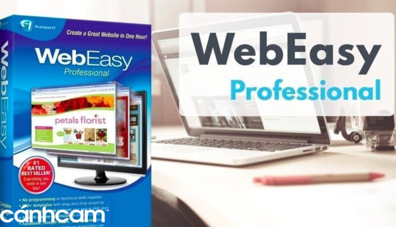 Phần mềm WebEasy Professional